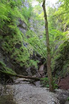 Kysel gorge Stock Photos