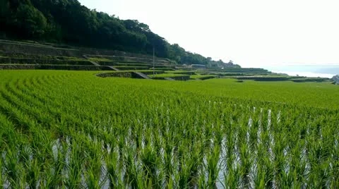 Kyusyu0018 Stock Footage 11066245