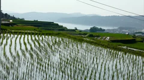 Kyusyu0019 Stock Footage 11066247