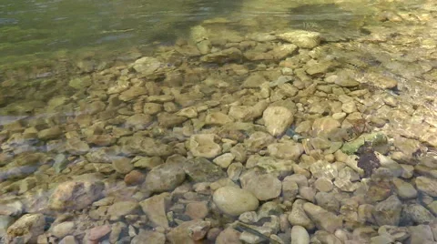 Kziv river at spring. Bottom of a shallow river. Pollution. Stock Footage 2610199