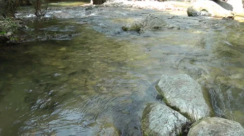 Kziv river at spring. Bottom of a shallow river. Stock Footage 2637206
