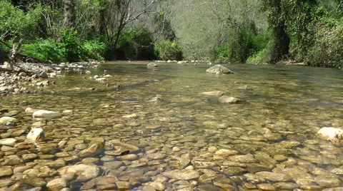 Kziv river at spring. Bottom of a shallow river. Stock Footage 2642735