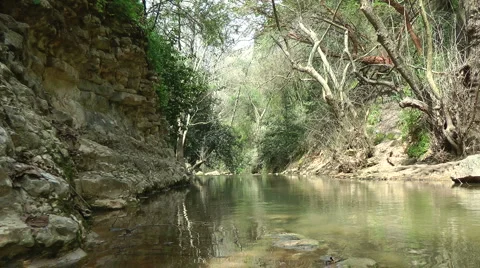 Kziv river at spring. Calm waters in the river. Stock Footage 2578960