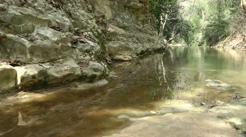 Kziv river at spring. Calm waters in the river. Stock Footage 2583874