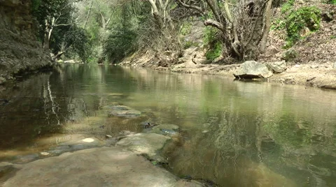 Kziv river at spring. Calm waters in the river. Stock Footage 2586546