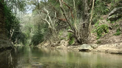 Kziv river at spring. Calm waters in the river. Stock Footage 2588509