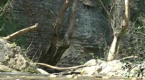 Kziv river at spring. Murmuring river. Stock Footage 2595051