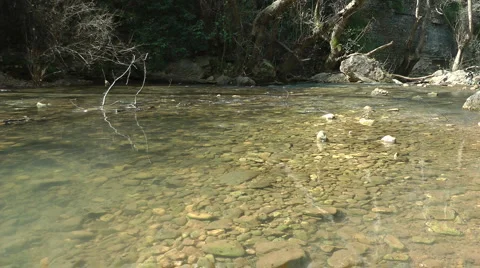 Kziv river at spring. Murmuring river. Stock Footage 2597109