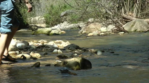 Kziv river at spring. People walking across the spring. Stock Footage 2602712