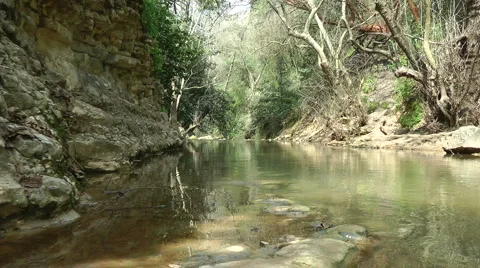 Kziv river at spring. Slow motion. Calm waters in the river. Stock Footage 2578327
