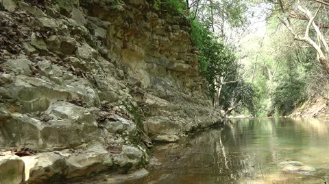 Kziv river at spring. Slow motion. Calm waters in the river. Stock Footage 2583088