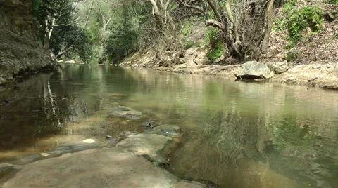 Kziv river at spring. Slow motion. Calm waters in the river. Stock Footage 2587628