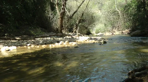 Kziv river at spring. Slow motion. People walking across the spring. Stock Footage 2600543