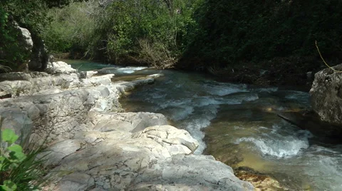 Kziv river at spring. Slow motion. Water streaming along trees and rocks. Stock Footage 2613452