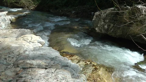 Kziv river at spring. Slow motion. Water streaming along trees and rocks. Stock Footage 2614785