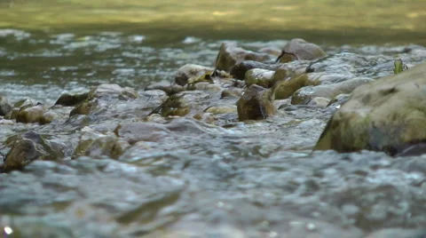 Kziv river at spring. Slow motion. Water streaming along trees and rocks. Stock Footage 2618933