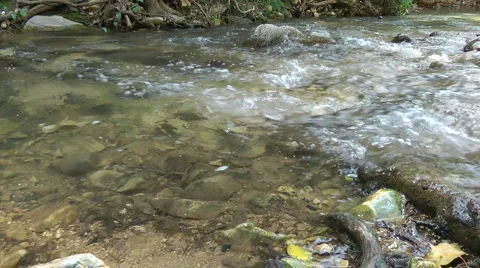 Kziv river at spring. Slow motion. Water streaming along trees and rocks. Stock Footage 2623242