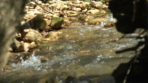 Kziv river at spring. Slow motion. Water streaming under the big dead tree. Stock Footage 2635711