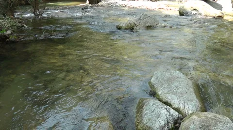 Kziv river at spring. Slow motion. Bottom of a shallow river. Bottom of a shallo Stock Footage 2638227