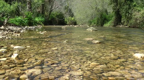 Kziv river at spring. Slow motion. Bottom of a shallow river. Stock Footage