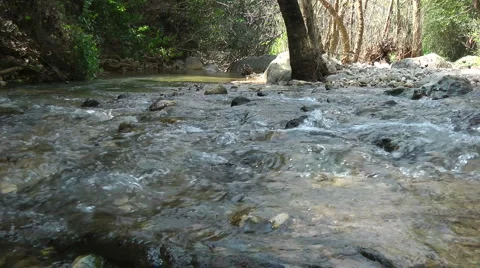 Kziv river at spring. Slow motion. Water streaming along trees and rocks. Stock Footage 2848713