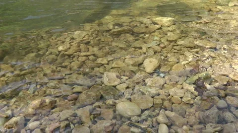 Kziv river at spring. Slow motion.Bottom of a shallow river. Stock Footage
