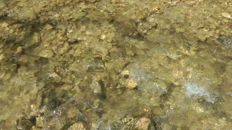 Kziv river at spring. Slow motion.Bottom of a shallow river. Stock Footage 2612440