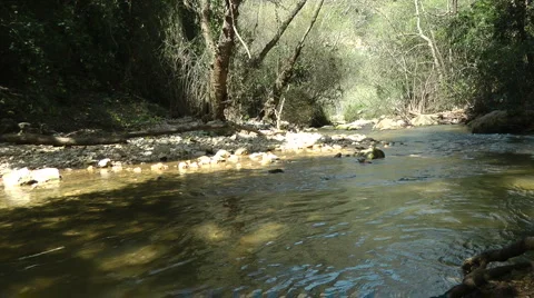 Kziv river at spring. Streaming water. Stock Footage 2599210
