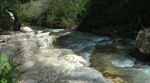 Kziv river at spring. Water streaming along trees and rocks. Stock Footage 2612695