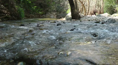 Kziv river at spring. Water streaming along trees and rocks. Stock Footage 2615215