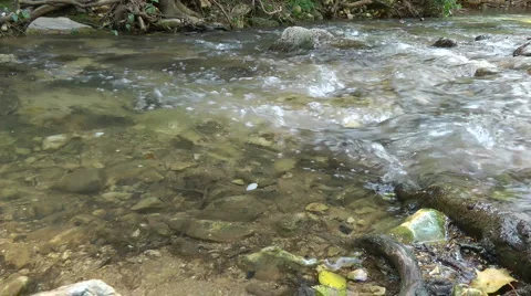 Kziv river at spring. Water streaming along trees and rocks. Stock Footage 2621896
