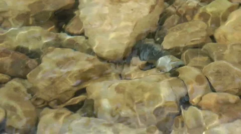 Kziv river at spring.Bottom of a shallow river. Stock Footage 2611134
