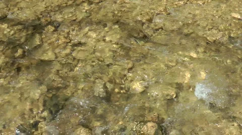 Kziv river at spring.Bottom of a shallow river. Stock Footage 2611743