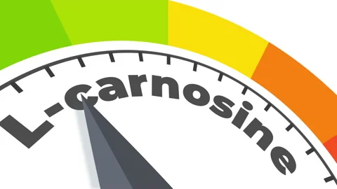 L-carnosine level measuring device animation. Stock Footage 229578386