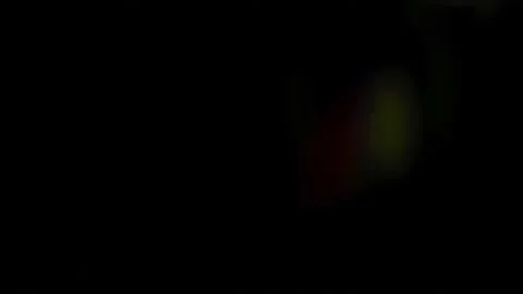 L Light 2 Stock Footage 221857696