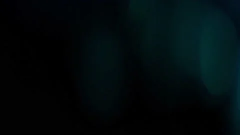 L Light 7 Stock Footage 221857704