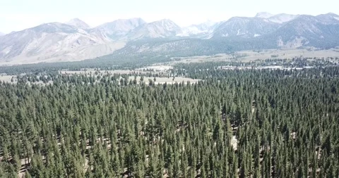 L-R Aerial Pan of Eastern Sierras Inyo National Forest Video stock 219581511