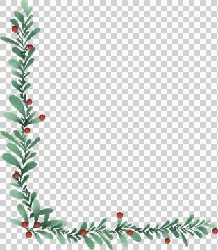 L-shaped botanical vector border is adorning transparent canvas with green Stock Illustration
