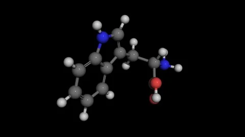 L-tryptophan molecule model rotating Stock Footage 82789459