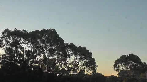 LA-0012 SUNRISE TIMELAPSE Stock Footage 10699385