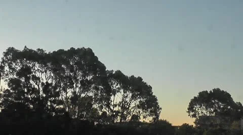 LA-0013 TIMELAPSE SUNRISE Stock Footage 10699382