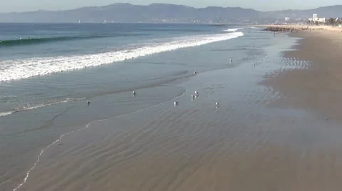 LA-0057 BEACH ZOOM WITH GULLS Stock Footage 10699757