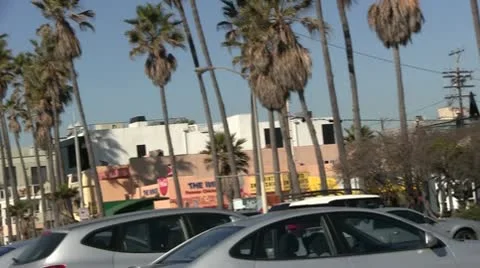 LA-0082 VENICE BEACH HANDHELD SHOT Stock Footage 10699894