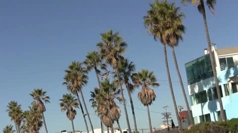 LA-0083 BEACH AREA HANDHELD SHOTS Stock Footage 10699914