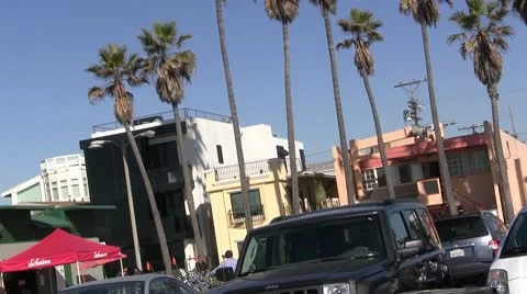 LA-0094 PALM TREE TOPS PAN Stock Footage 10699968