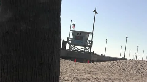 LA-0096 BEACH AND PALM TREES TILT AND PAN Stock Footage 10699986