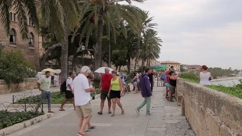 La Almudaina Palace Palma de Mallorca Stock Footage 79862323