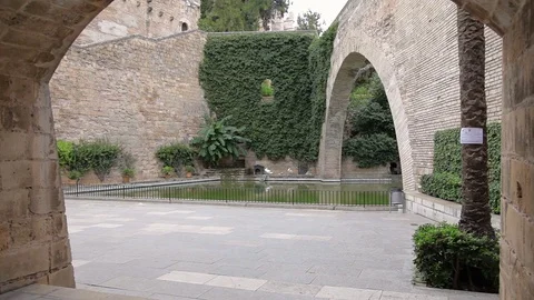 La Almudaina Palace Palma de Mallorca Stock Footage 79863384