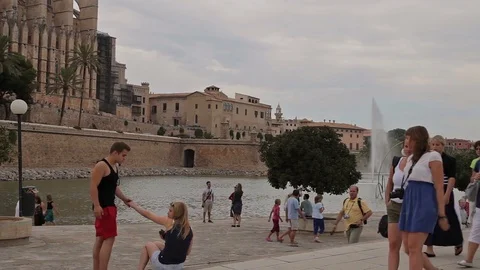 La Almudaina Palace Palma de Mallorca Stock Footage 79864230
