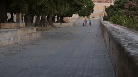 La Almudaina Palace squares Stock Footage 80160004